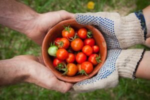 Photo Fresh vegetables