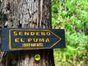 Photo "Perder peso naturalmente"