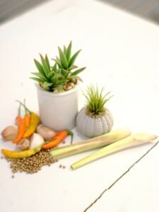 Photo Herbal weight loss supplements