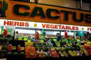 Photo "Vegetables to Include in Your Diet"